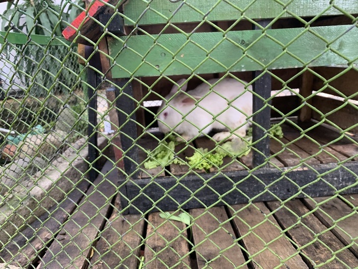 2区のペットカフェ「PET ME」ペットミーで休校期間も楽しもう