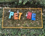 2区のペットカフェ「PET ME」ペットミーで休校期間も楽しもう