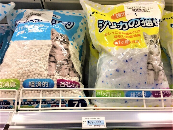 ベトナムで猫の飼い方