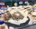 タオディエンの記事一覧 (2ページ目)