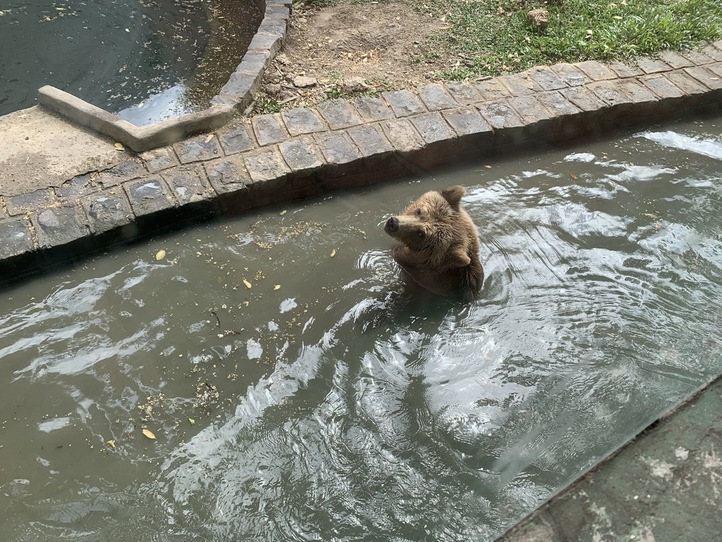 ホーチミンから1時間!ダチョウに乗れる公園 にいってみよう〜Vuon Xoai(Mango Garden Resort)〜