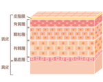 【肌のお悩み】肝斑、治りにくいしみってどうしたらいいの?