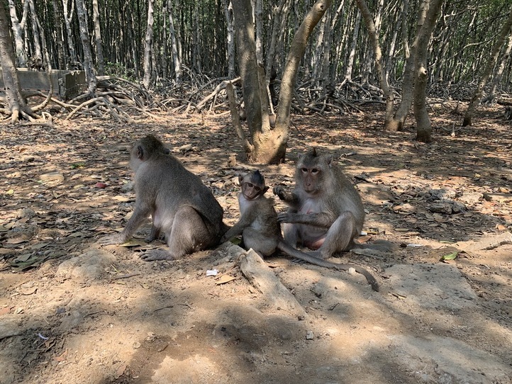 【週末特集】カンザー国立公園にいってみよう